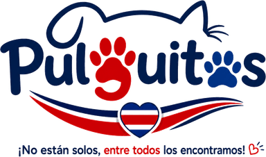 Pulguitas